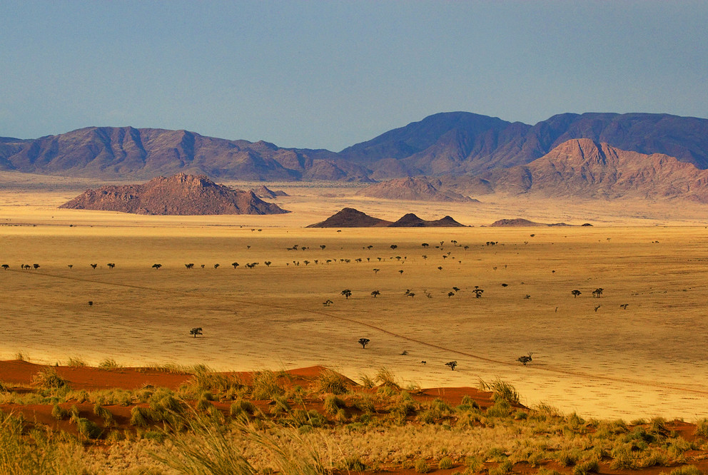 Загадочные круги на полях в Намибии. Фото 10 – фотографии Намибии