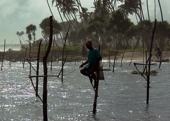 Велигама, Шри-Ланка, фото № 50828 – фотографии Шри-Ланки