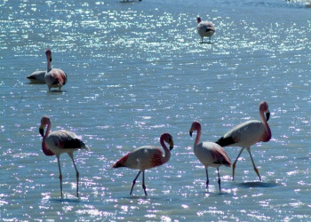 Боливия, фото № 2887 – фотографии Боливии