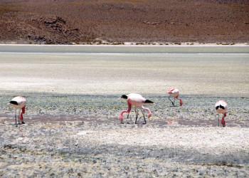 Bolivia – фотографии Боливии