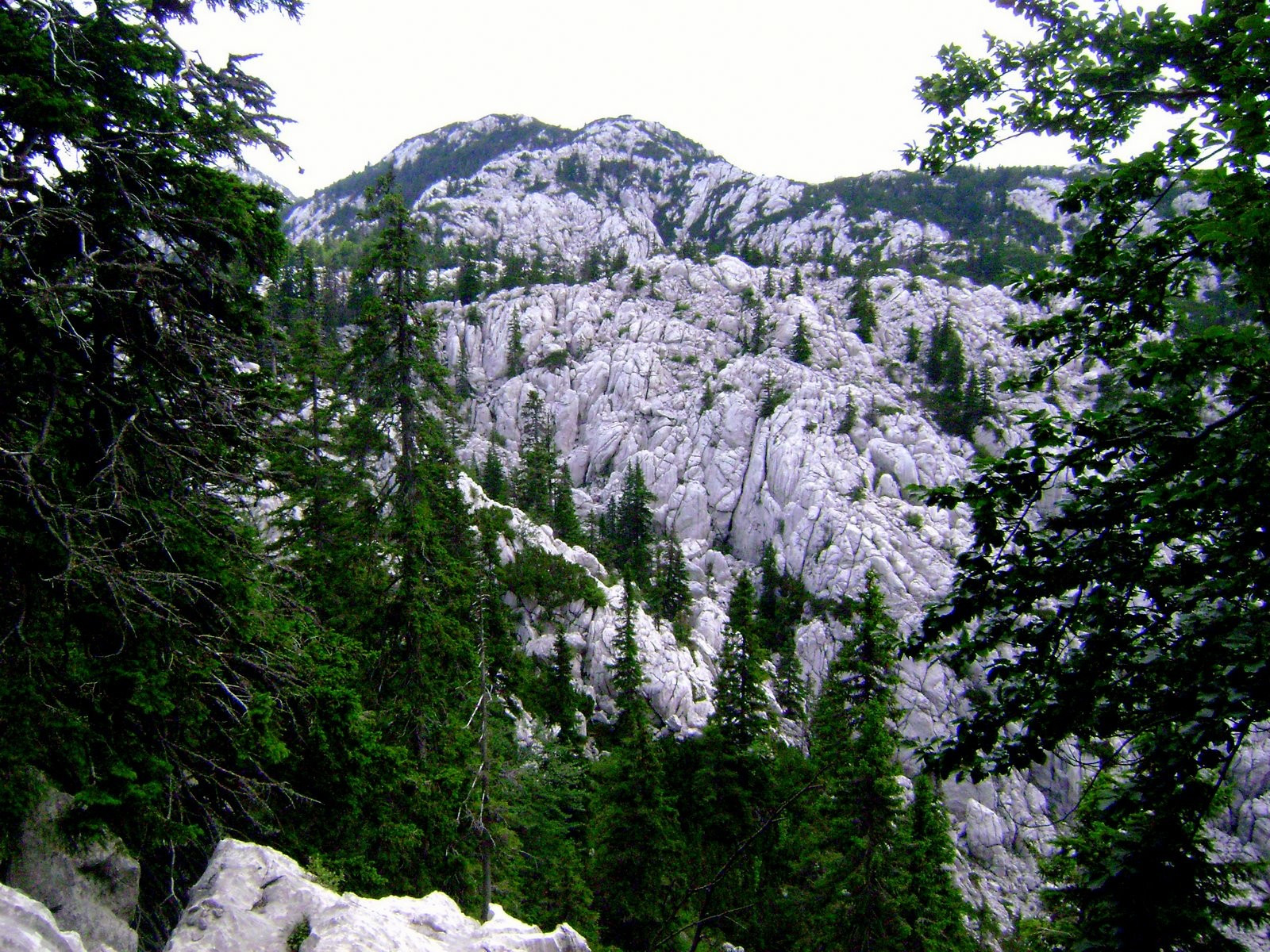 Гора в Северный Велебит Национальный, Хорватия – фотографии Хорватии
