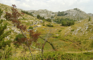 Природа в Биоково, Хорватия – фотографии Хорватии