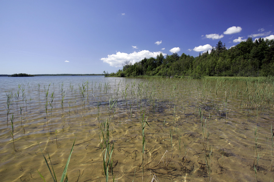 Сааремаа (Saaremaa) – крупнейший остров Эстонии – фотографии Эстонии