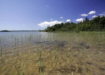 Сааремаа (Saaremaa) – крупнейший остров Эстонии – фотографии Эстонии