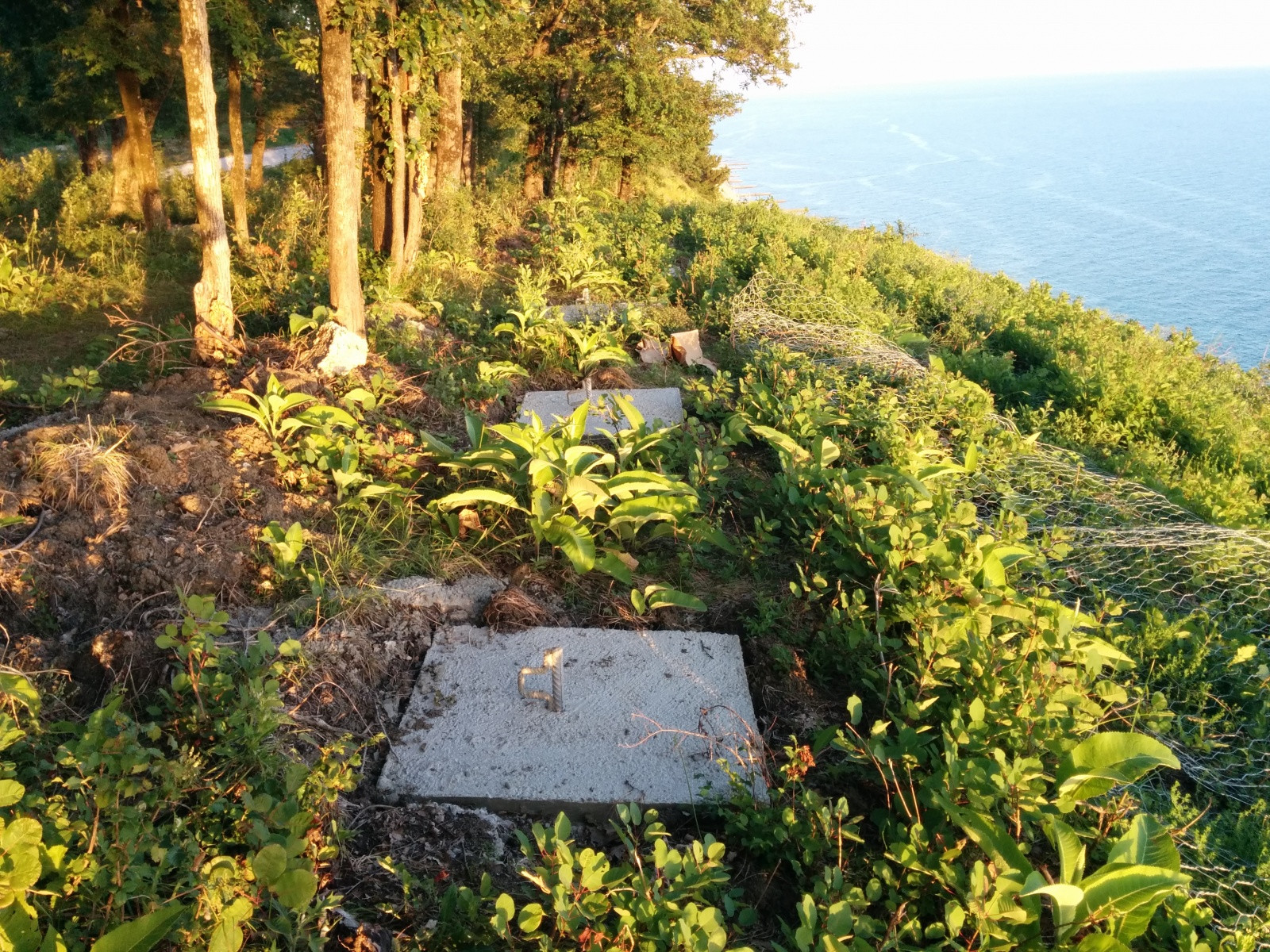 Защитные столбы на горе, Южный, Туапсе. Фото 10 – фотографии России