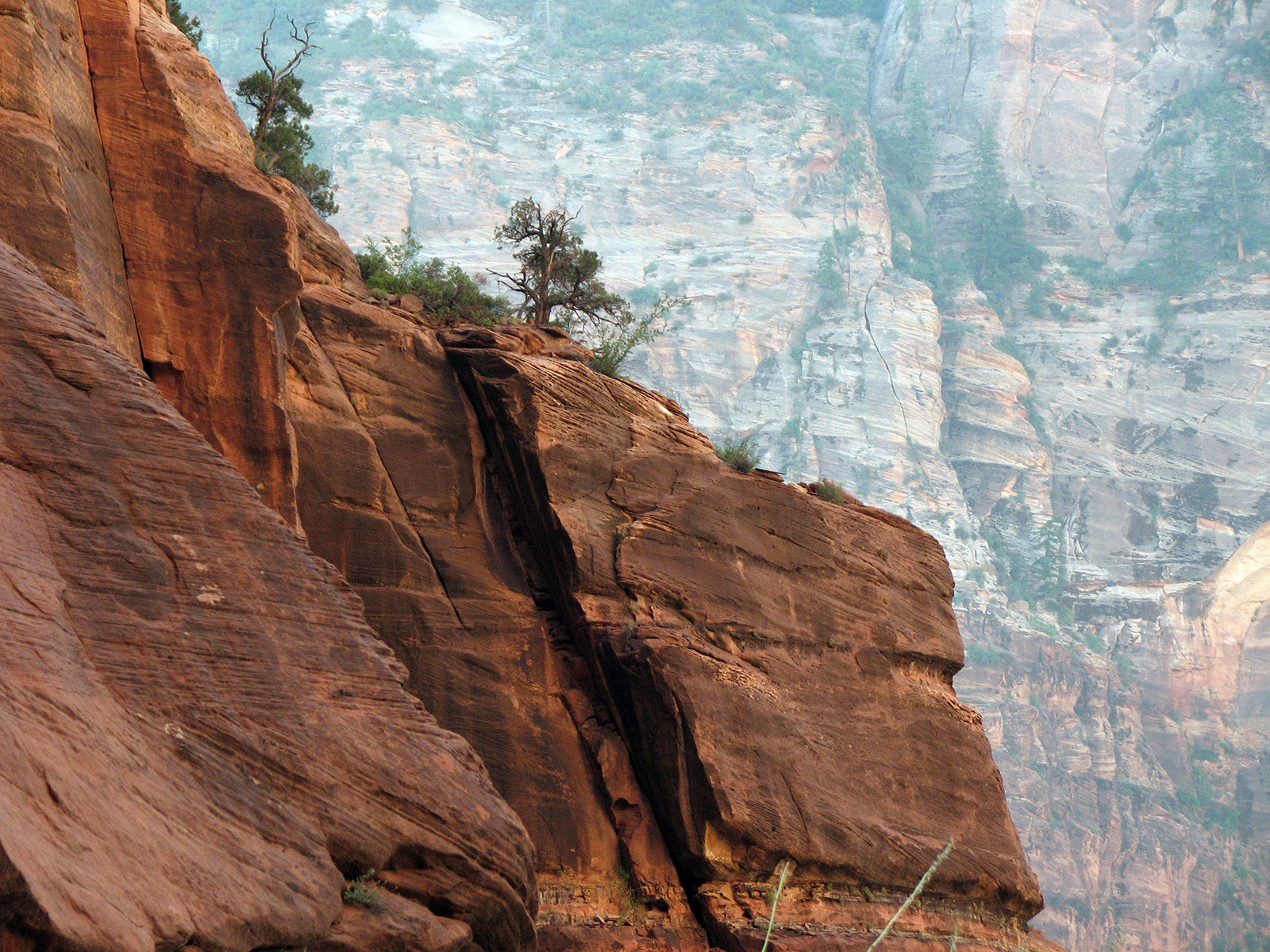 Национальный парк Зайон (Zion National Park) – фотографии США