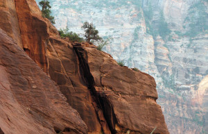 Национальный парк Зайон (Zion National Park) – фотографии США