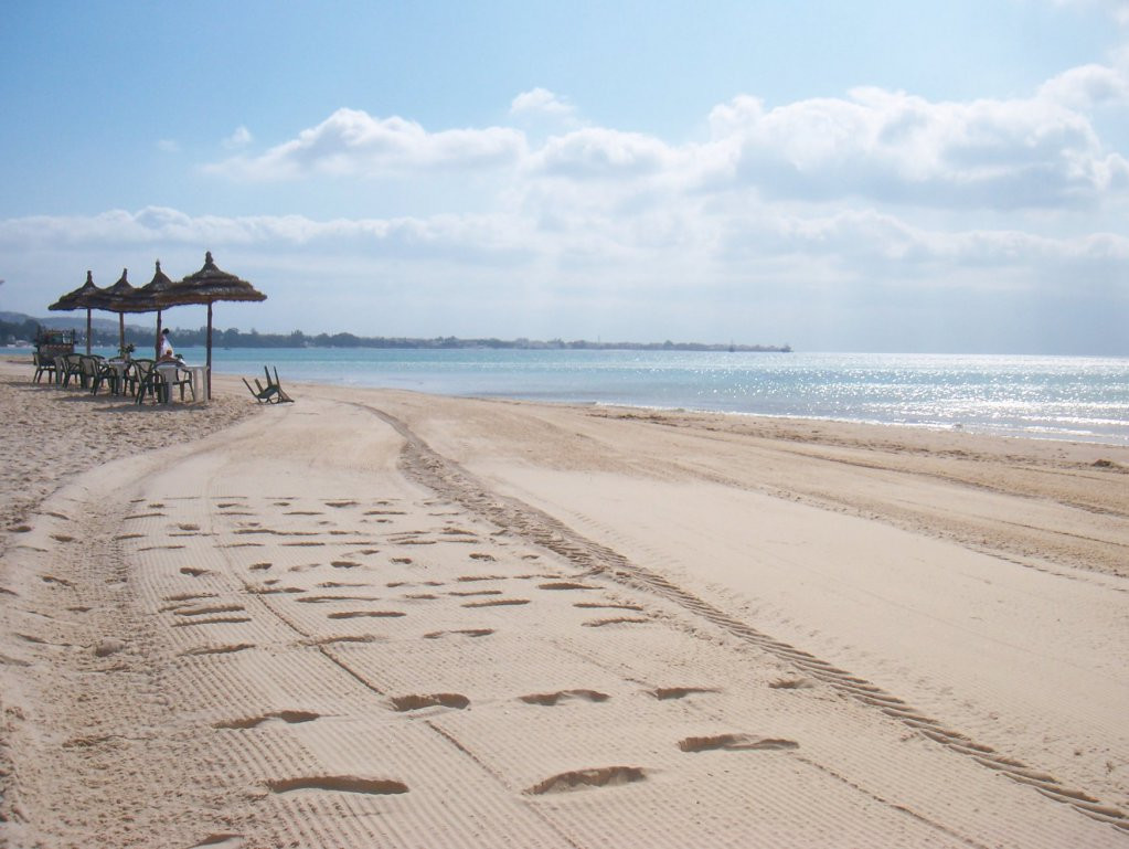 Пляж в Северном Тунисе. Фото 27 – фотографии Туниса