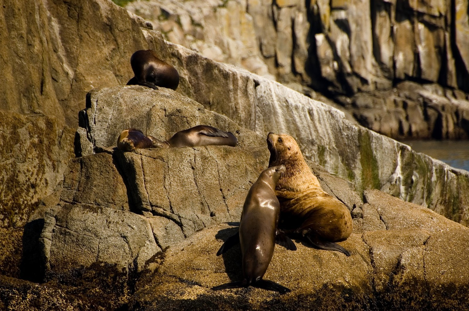 Аляска штат, США, фото № 67671 – фотографии США