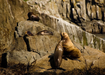 Аляска штат, США, фото № 67671 – фотографии США