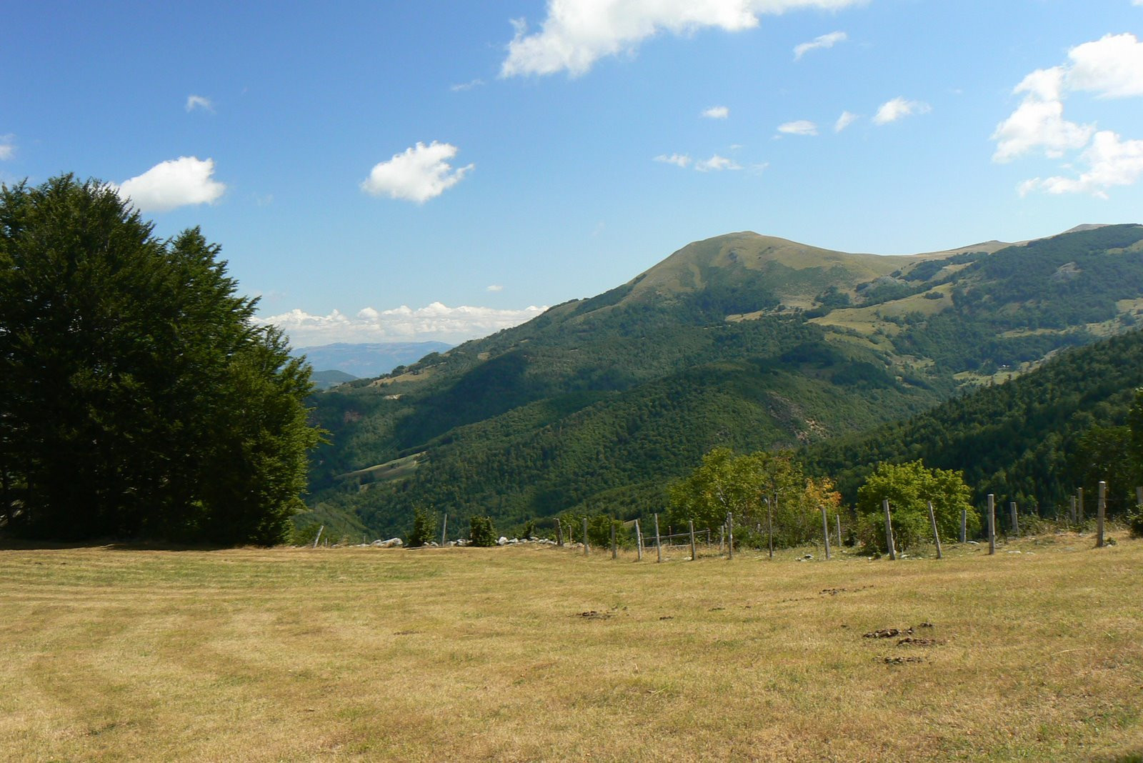 Поле в Национальном парке, Черногория. Фото 5 – фотографии Черногории