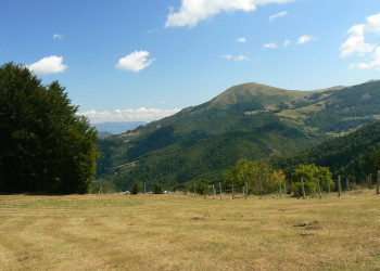 Поле в Национальном парке, Черногория. Фото 5 – фотографии Черногории