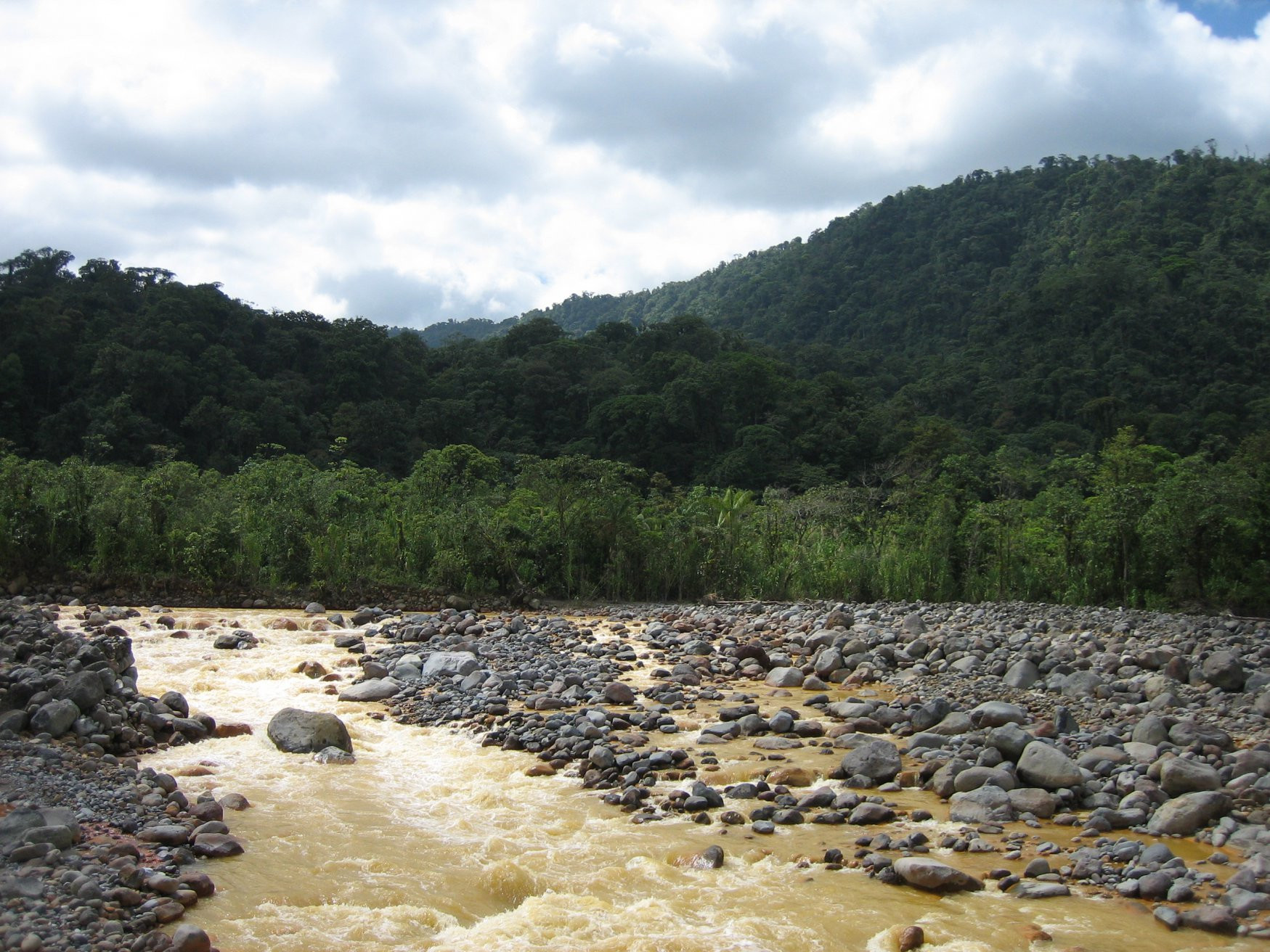 Браулио Каррильо Национальный Парк, Эредия провинция, Коста-Рика, фото № 39992 – фотографии Коста-Рики