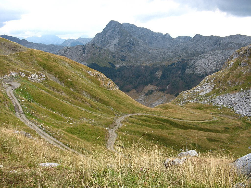 Биоградская гора, Черногория. Фото 7 – фотографии Черногории