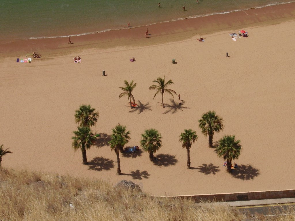 Сан-Андрес, Тенерифе остров, Канарские острова, фото № 33760 – фотографии Канарских островов
