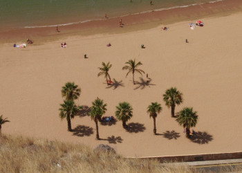 Сан-Андрес, Тенерифе остров, Канарские острова, фото № 33760 – фотографии Канарских островов