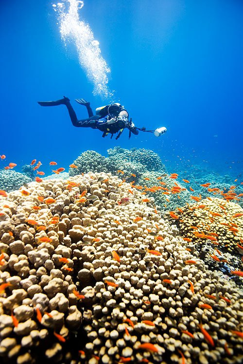 Марса-Алам, Египет, фото № 35323 – фотографии Египта