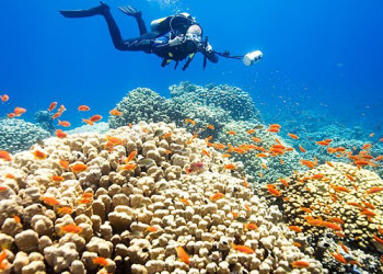 Марса-Алам, Египет, фото № 35323 – фотографии Египта