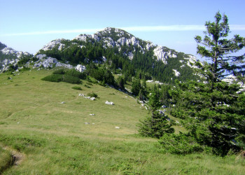 Природа в Северный Велебит Национальный, Хорватия. Фото 7 – фотографии Хорватии