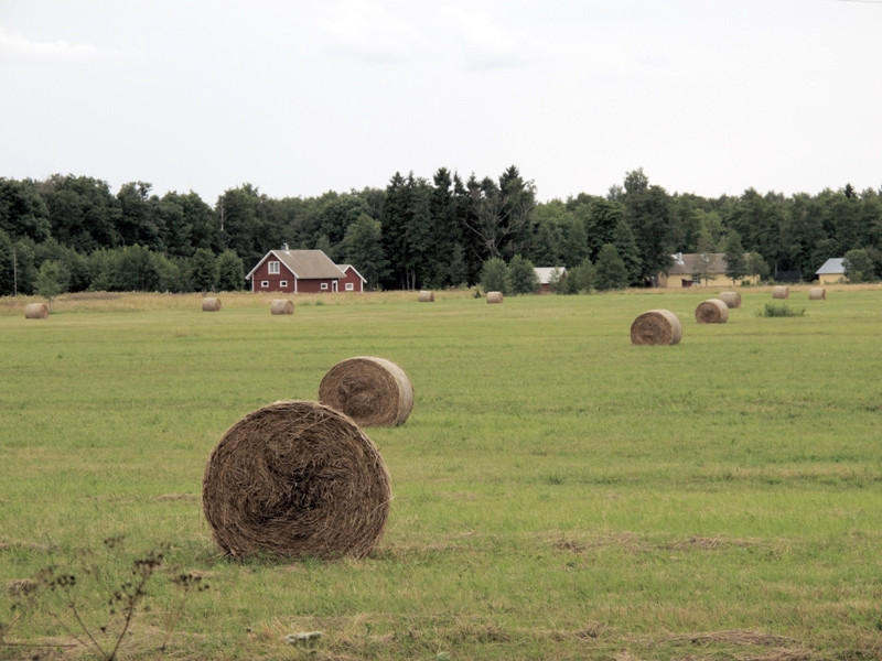 Сельское хозяйство Вормси – фотографии Эстонии