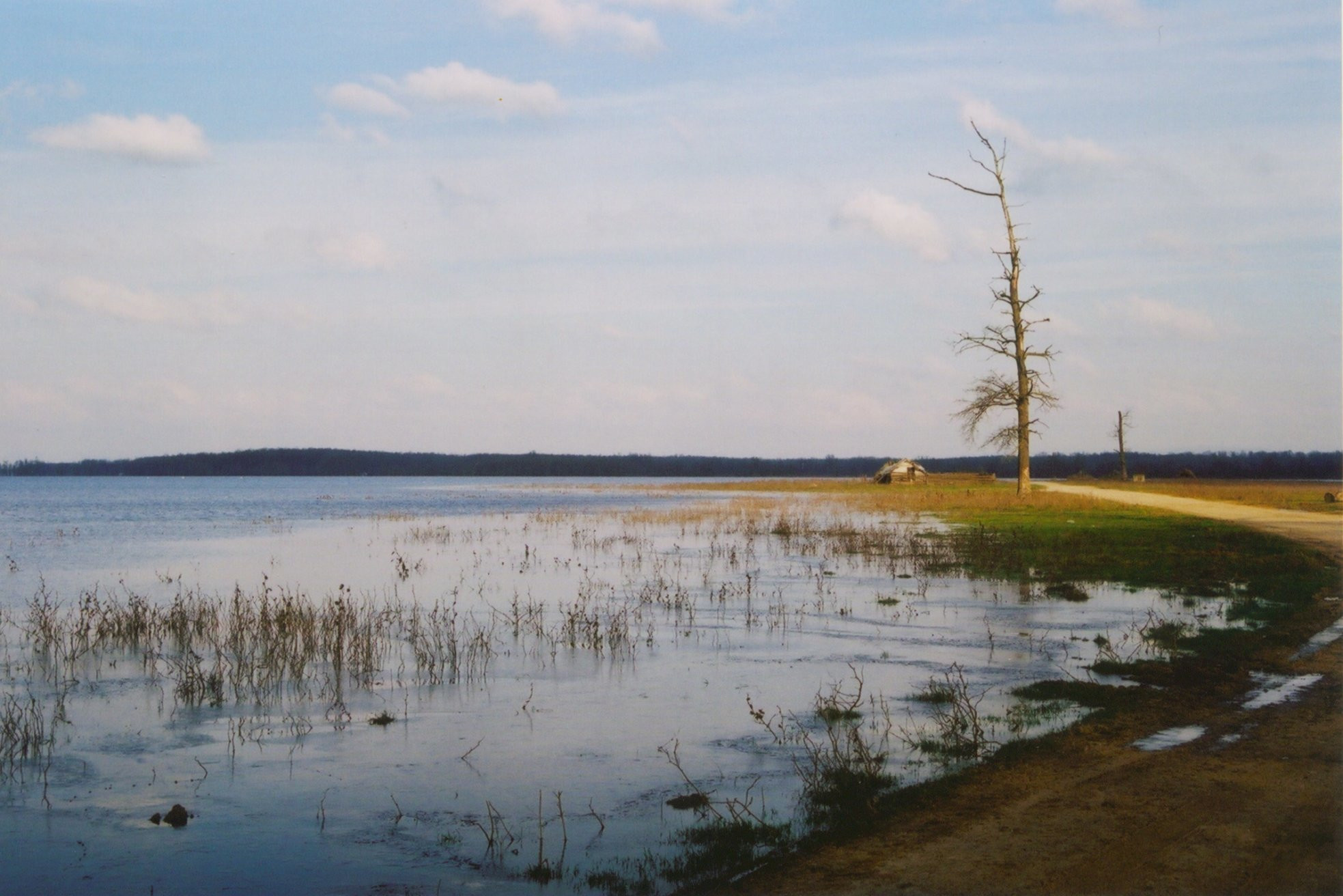 Озеро в Лоньско поле, Хорватия. Фото 4 – фотографии Хорватии