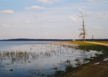 Озеро в Лоньско поле, Хорватия. Фото 4 – фотографии Хорватии