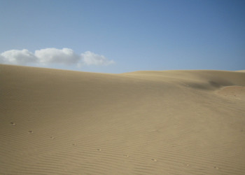 Корралехо, Фуэртевентура остров, Канарские острова, фото № 34117 – фотографии Канарских островов
