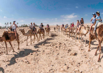 Пустыня Негев – фотографии Израиля