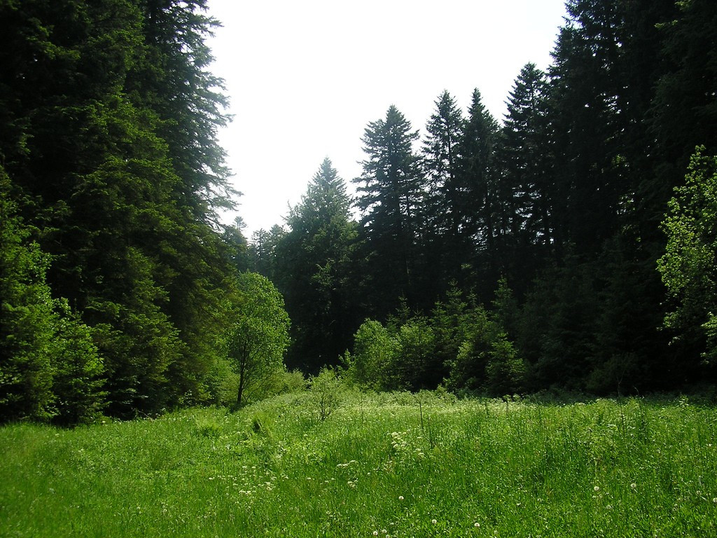 Природа в Рисняк, Хорватия. Фото 18 – фотографии Хорватии