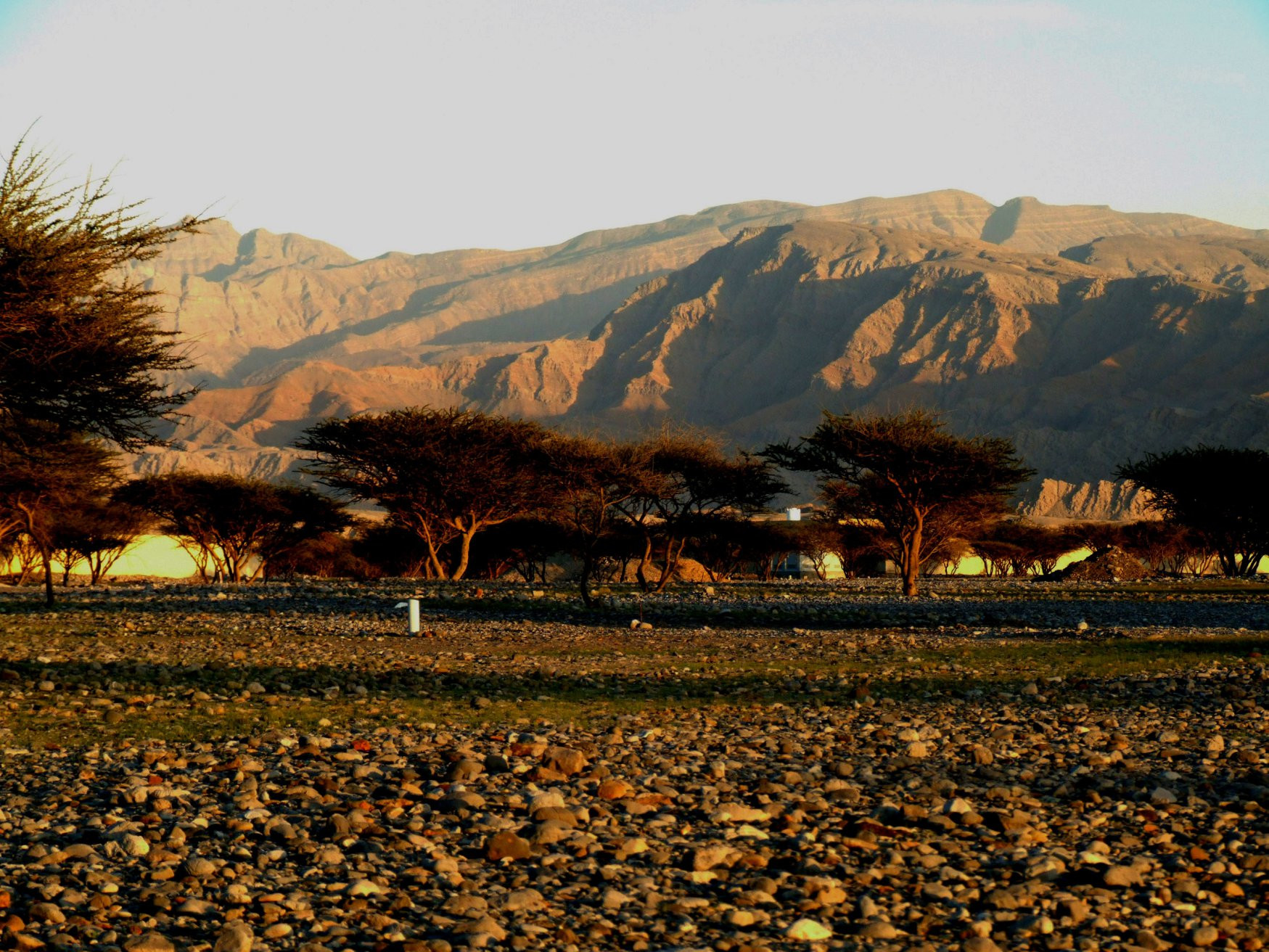 Рас-аль-Хайма, ОАЭ, фото № 61072 – фотографии ОАЭ
