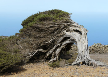 Эль-Йерро остров, Канарские острова, фото № 34686 – фотографии Канарских островов