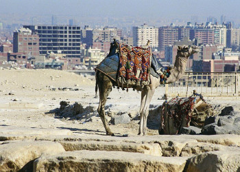 Каир, Египет, фото № 35114 – фотографии Египта