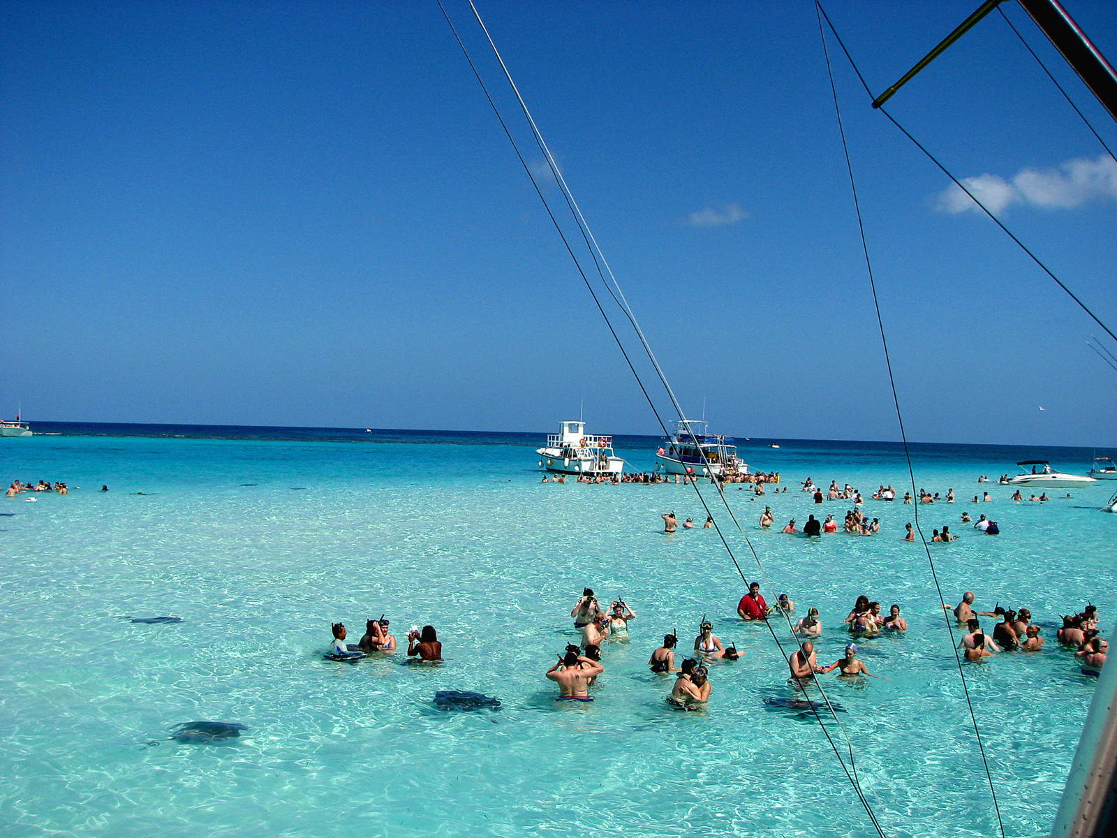 Купание со скатами на о-ве Гранд-Кайман – фотографии Каймановых островов