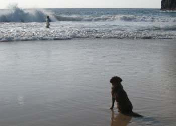 Фернанду-ди-Норонья, Бразилия, фото № 60465 – фотографии Бразилии