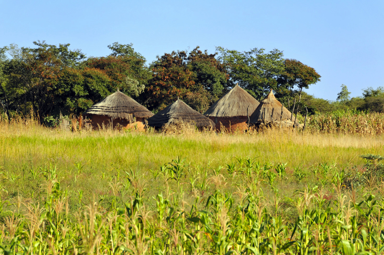 Зимбабве. Фото 2 – фотографии Зимбабве