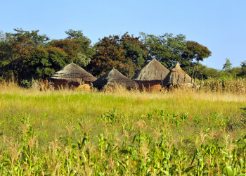 Зимбабве. Фото 2 – фотографии Зимбабве