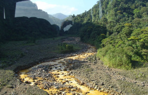 Браулио Каррильо Национальный Парк, Эредия провинция, Коста-Рика, фото № 40001 – фотографии Коста-Рики