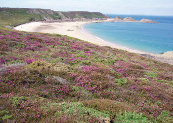 Берега в Эрки, Франция. Фото 9 – фотографии Франции