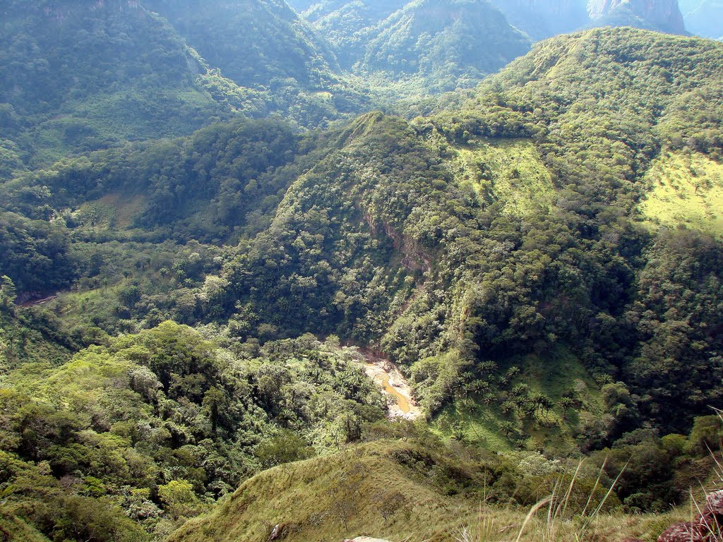 Национальный парк Амборо в центральной Боливии – фотографии Боливии