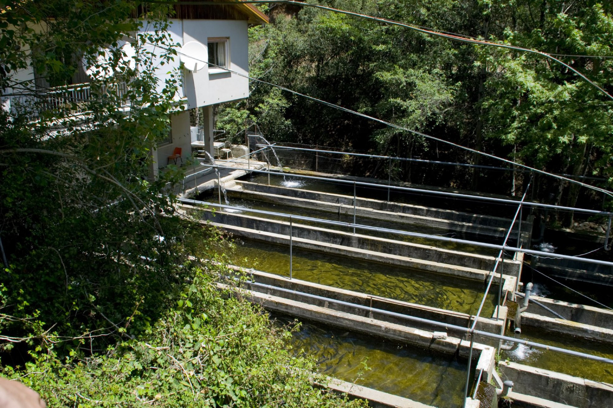 Платрес, Кипр, фото № 38723 – фотографии Кипра