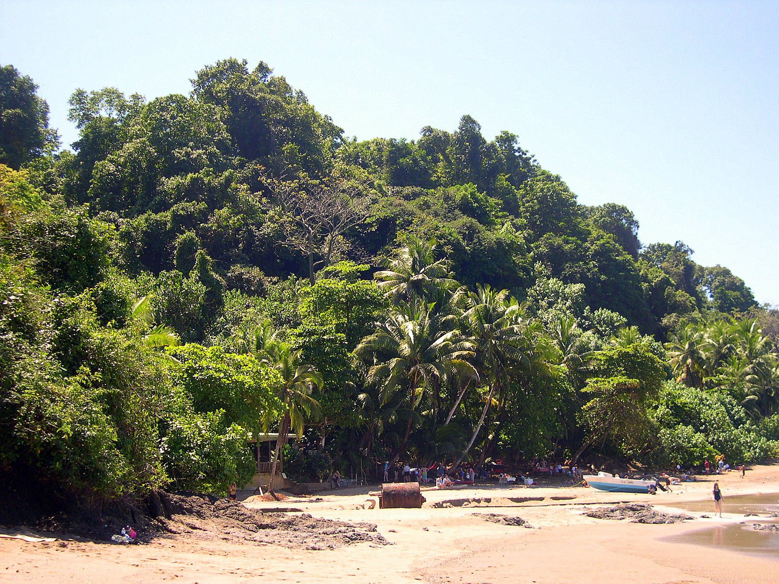 о.Каньо, Пунтаренас провинция, Коста-Рика, фото № 40840 – фотографии Коста-Рики