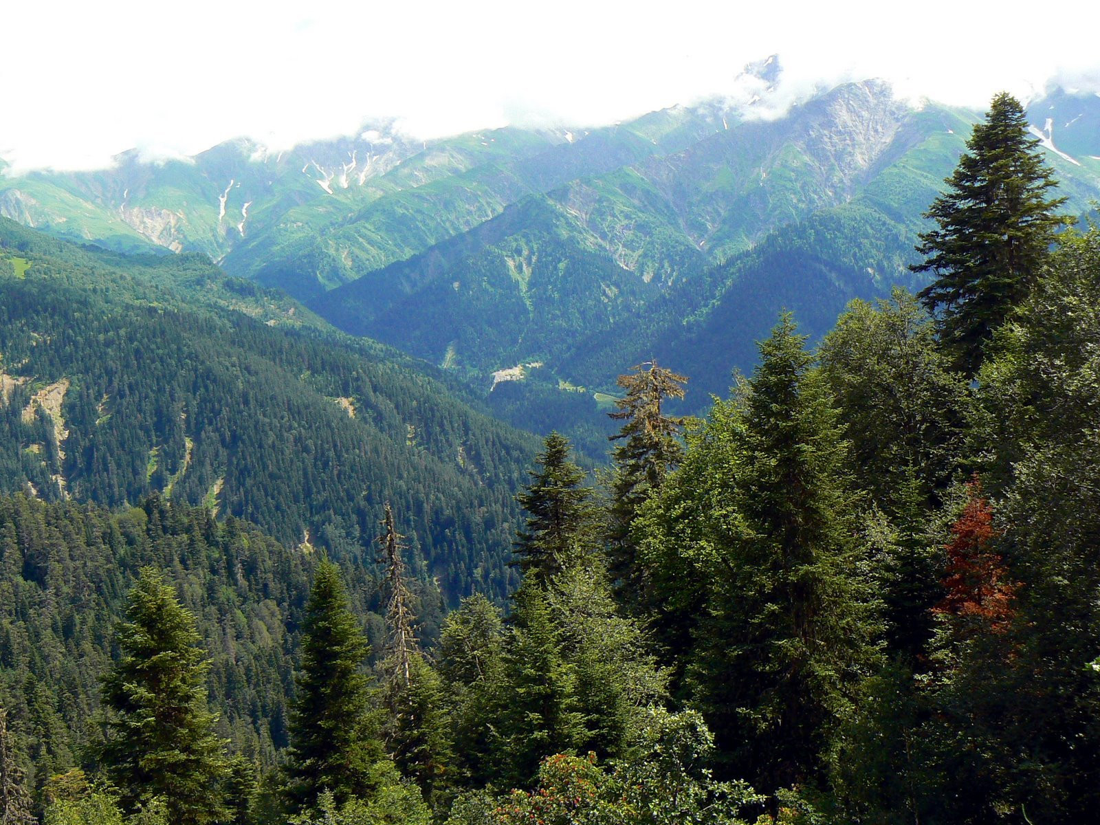 Шови, Грузия, фото № 73743 – фотографии Грузии