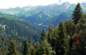 Шови, Грузия, фото № 73743 – фотографии Грузии