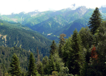 Шови, Грузия, фото № 73743 – фотографии Грузии