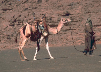 Каир, Египет, фото № 35007 – фотографии Египта