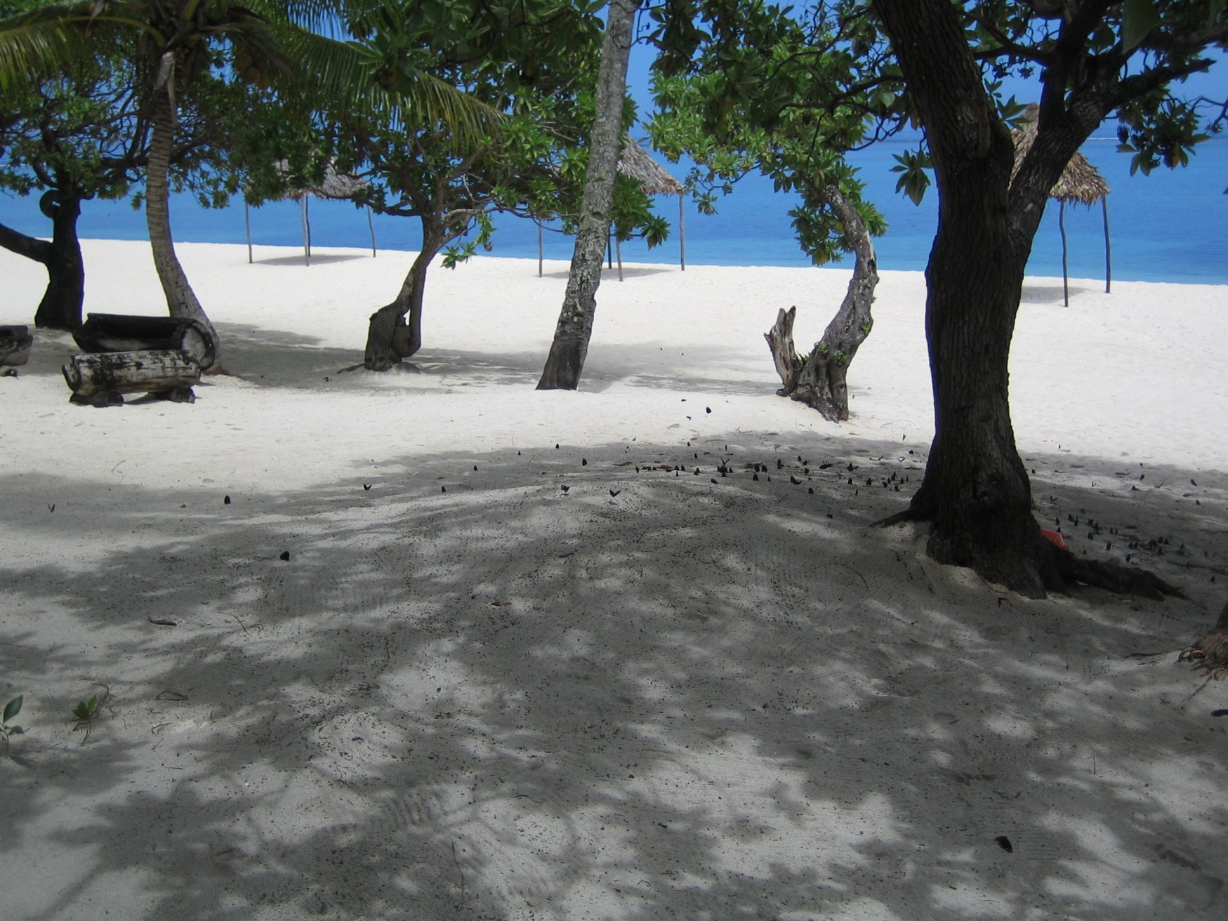 Ватулеле остров, Вити Леву группа островов, Фиджи, фото № 49459 – фотографии Фиджи