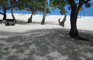 Ватулеле остров, Вити Леву группа островов, Фиджи, фото № 49459 – фотографии Фиджи