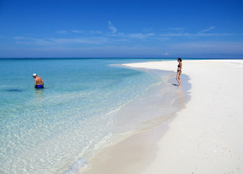 Пляжи островка Пайн-Кей (Pine Cay) – фотографии Тёркс и Кайкос