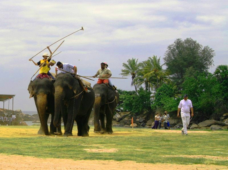 Шри-Ланка, фото № 1257 – фотографии Шри-Ланки