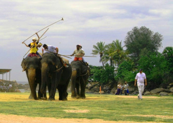 Шри-Ланка, фото № 1257 – фотографии Шри-Ланки